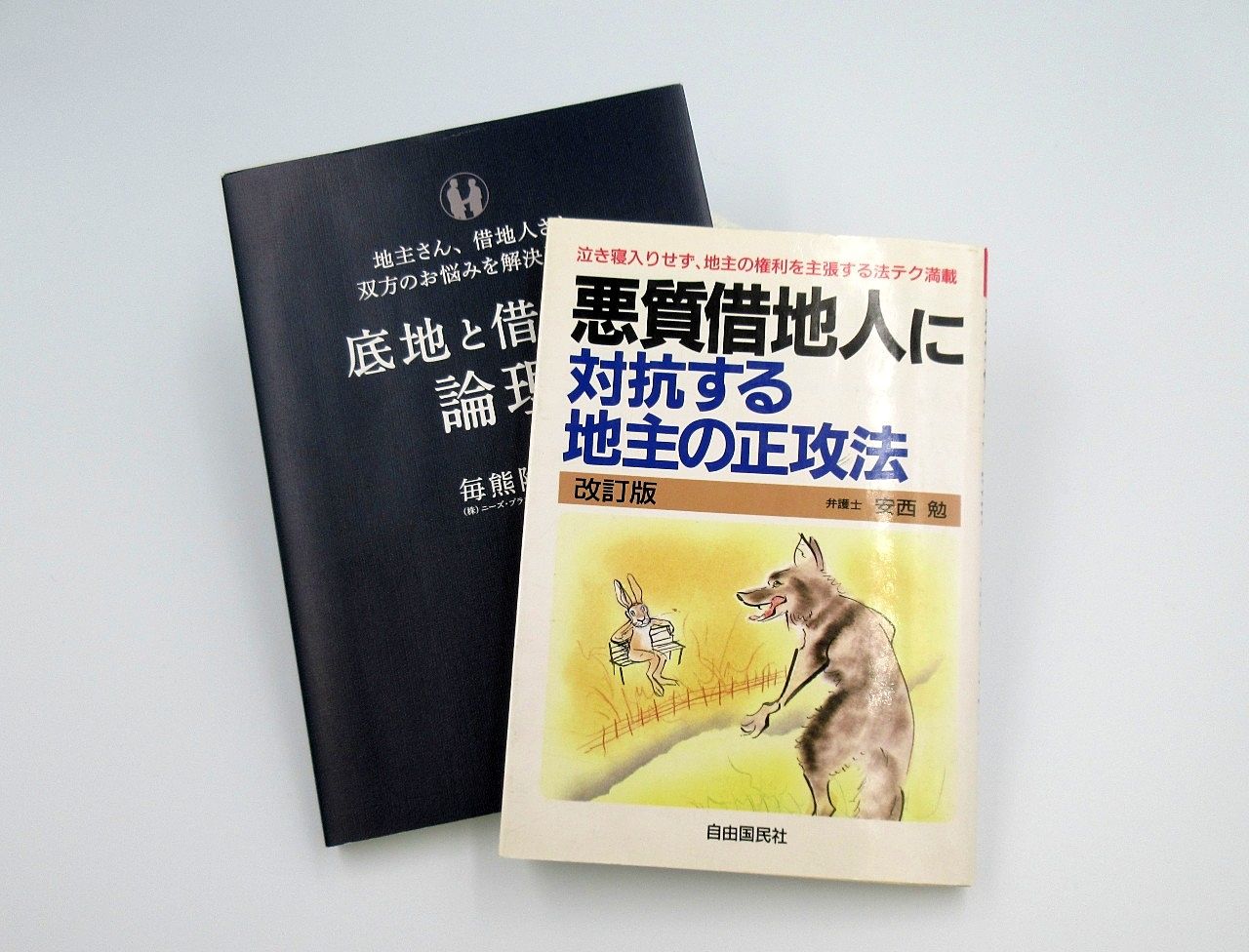 不動産関連の本、今月のコレ♫　アゲイン…　- 堀切菖蒲園 -【R3.11】